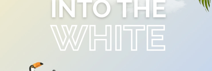Into the White